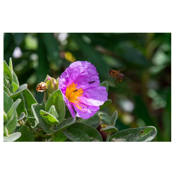 PHOTO84, CLUB, 84 , LUBERON